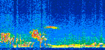 /calipso-imagery/data/BROWSE/production/V5-00/2019-11-21/2019-11-21_02-42-34_V5.00_2_thmb.png image missing