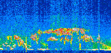 /calipso-imagery/data/BROWSE/production/V5-00/2019-11-21/2019-11-21_04-21-04_V5.00_2_thmb.png image missing