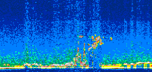 /calipso-imagery/data/BROWSE/production/V5-00/2019-11-21/2019-11-21_20-46-17_V5.00_3_thmb.png image missing