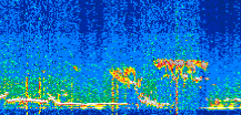 /calipso-imagery/data/BROWSE/production/V5-00/2019-11-21/2019-11-21_22-24-52_V5.00_2_thmb.png image missing
