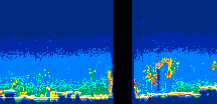/calipso-imagery/data/BROWSE/production/V5-00/2019-11-22/2019-11-22_00-55-52_V5.00_1_thmb.png image missing