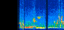 /calipso-imagery/data/BROWSE/production/V5-00/2019-11-22/2019-11-22_04-58-58_V5.00_2_thmb.png image missing