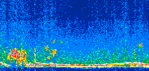 /calipso-imagery/data/BROWSE/production/V5-00/2019-11-22/2019-11-22_06-37-28_V5.00_2_thmb.png image missing