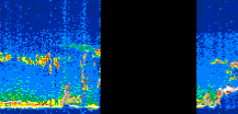 /calipso-imagery/data/BROWSE/production/V5-00/2019-11-22/2019-11-22_06-37-28_V5.00_3_thmb.png image missing
