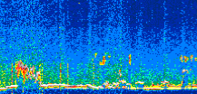 /calipso-imagery/data/BROWSE/production/V5-00/2019-11-22/2019-11-22_08-15-58_V5.00_2_thmb.png image missing