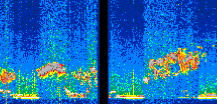 /calipso-imagery/data/BROWSE/production/V5-00/2019-11-22/2019-11-22_09-54-28_V5.00_2_thmb.png image missing