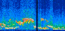 /calipso-imagery/data/BROWSE/production/V5-00/2019-11-22/2019-11-22_19-45-40_V5.00_2_thmb.png image missing