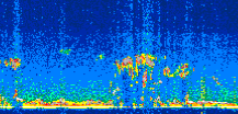 /calipso-imagery/data/BROWSE/production/V5-00/2019-11-22/2019-11-22_23-02-45_V5.00_3_thmb.png image missing