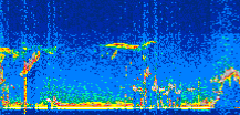 /calipso-imagery/data/BROWSE/production/V5-00/2019-11-25/2019-11-25_00-18-27_V5.00_3_thmb.png image missing