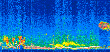 /calipso-imagery/data/BROWSE/production/V5-00/2019-11-25/2019-11-25_01-57-02_V5.00_2_thmb.png image missing