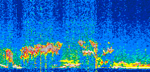 /calipso-imagery/data/BROWSE/production/V5-00/2019-11-25/2019-11-25_03-35-32_V5.00_2_thmb.png image missing
