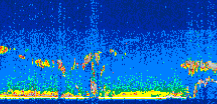 /calipso-imagery/data/BROWSE/production/V5-00/2019-11-25/2019-11-25_06-52-33_V5.00_3_thmb.png image missing