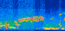 /calipso-imagery/data/BROWSE/production/V5-00/2019-11-25/2019-11-25_10-09-38_V5.00_2_thmb.png image missing