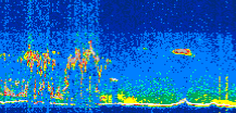 /calipso-imagery/data/BROWSE/production/V5-00/2019-11-25/2019-11-25_11-48-08_V5.00_3_thmb.png image missing
