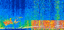 /calipso-imagery/data/BROWSE/production/V5-00/2019-11-25/2019-11-25_16-43-44_V5.00_2_thmb.png image missing
