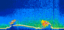 /calipso-imagery/data/BROWSE/production/V5-00/2019-11-25/2019-11-25_21-39-19_V5.00_1_thmb.png image missing