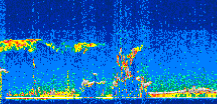 /calipso-imagery/data/BROWSE/production/V5-00/2019-11-26/2019-11-26_00-56-20_V5.00_3_thmb.png image missing