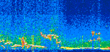/calipso-imagery/data/BROWSE/production/V5-00/2019-11-26/2019-11-26_05-51-56_V5.00_2_thmb.png image missing