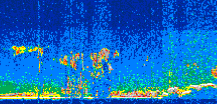 /calipso-imagery/data/BROWSE/production/V5-00/2019-11-26/2019-11-26_05-51-56_V5.00_3_thmb.png image missing