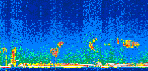 /calipso-imagery/data/BROWSE/production/V5-00/2019-11-26/2019-11-26_07-30-26_V5.00_2_thmb.png image missing