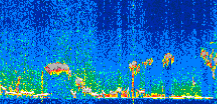 /calipso-imagery/data/BROWSE/production/V5-00/2019-11-26/2019-11-26_10-47-31_V5.00_2_thmb.png image missing