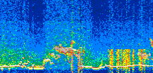 /calipso-imagery/data/BROWSE/production/V5-00/2019-11-26/2019-11-26_12-26-01_V5.00_2_thmb.png image missing