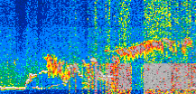/calipso-imagery/data/BROWSE/production/V5-00/2019-11-26/2019-11-26_17-21-37_V5.00_2_thmb.png image missing