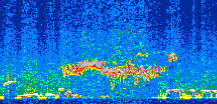 /calipso-imagery/data/BROWSE/production/V5-00/2019-11-26/2019-11-26_20-38-43_V5.00_2_thmb.png image missing