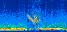 /calipso-imagery/data/BROWSE/production/V5-00/2019-11-26/2019-11-26_22-17-13_V5.00_3_thmb.png image missing