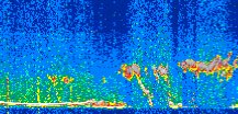 /calipso-imagery/data/BROWSE/production/V5-00/2019-11-26/2019-11-26_23-55-43_V5.00_2_thmb.png image missing