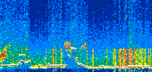 /calipso-imagery/data/BROWSE/production/V5-00/2019-11-27/2019-11-27_13-03-55_V5.00_2_thmb.png image missing