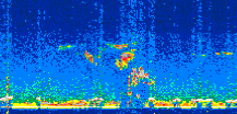 /calipso-imagery/data/BROWSE/production/V5-00/2019-11-27/2019-11-27_22-55-06_V5.00_3_thmb.png image missing