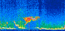 /calipso-imagery/data/BROWSE/production/V5-00/2019-12-02/2019-12-02_01-26-39_V5.00_2_thmb.png image missing