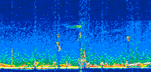 /calipso-imagery/data/BROWSE/production/V5-00/2019-12-02/2019-12-02_03-05-09_V5.00_3_thmb.png image missing