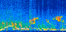 /calipso-imagery/data/BROWSE/production/V5-00/2019-12-03/2019-12-03_00-26-02_V5.00_2_thmb.png image missing