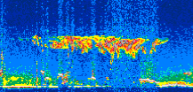 /calipso-imagery/data/BROWSE/production/V5-00/2019-12-03/2019-12-03_05-21-38_V5.00_3_thmb.png image missing