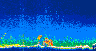 /calipso-imagery/data/BROWSE/production/V5-00/2019-12-03/2019-12-03_05-21-38_V5.00_4_thmb.png image missing