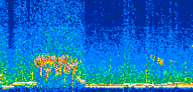 /calipso-imagery/data/BROWSE/production/V5-00/2019-12-03/2019-12-03_07-00-08_V5.00_2_thmb.png image missing