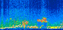 /calipso-imagery/data/BROWSE/production/V5-00/2019-12-03/2019-12-03_08-38-38_V5.00_2_thmb.png image missing