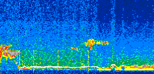 /calipso-imagery/data/BROWSE/production/V5-00/2019-12-03/2019-12-03_10-17-09_V5.00_2_thmb.png image missing