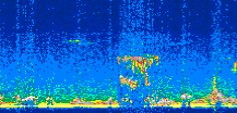 /calipso-imagery/data/BROWSE/production/V5-00/2019-12-03/2019-12-03_23-25-25_V5.00_3_thmb.png image missing