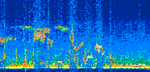 /calipso-imagery/data/BROWSE/production/V5-00/2019-12-05/2019-12-05_01-41-49_V5.00_3_thmb.png image missing