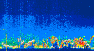 /calipso-imagery/data/BROWSE/production/V5-00/2019-12-05/2019-12-05_01-41-49_V5.00_4_thmb.png image missing