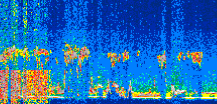/calipso-imagery/data/BROWSE/production/V5-00/2019-12-05/2019-12-05_18-07-06_V5.00_3_thmb.png image missing