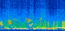 /calipso-imagery/data/BROWSE/production/V5-00/2019-12-05/2019-12-05_19-45-36_V5.00_2_thmb.png image missing