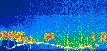 /calipso-imagery/data/BROWSE/production/V5-00/2019-12-05/2019-12-05_21-24-07_V5.00_1_thmb.png image missing