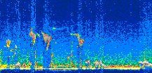 /calipso-imagery/data/BROWSE/production/V5-00/2019-12-11/2019-12-11_02-12-13_V5.00_3_thmb.png image missing