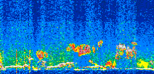 /calipso-imagery/data/BROWSE/production/V5-00/2019-12-11/2019-12-11_03-50-43_V5.00_2_thmb.png image missing