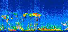 /calipso-imagery/data/BROWSE/production/V5-00/2019-12-11/2019-12-11_03-50-43_V5.00_3_thmb.png image missing