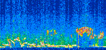 /calipso-imagery/data/BROWSE/production/V5-00/2019-12-11/2019-12-11_05-29-19_V5.00_2_thmb.png image missing